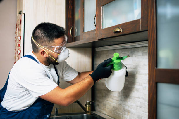 Best Wasp Removal Services  in Bothell, WA