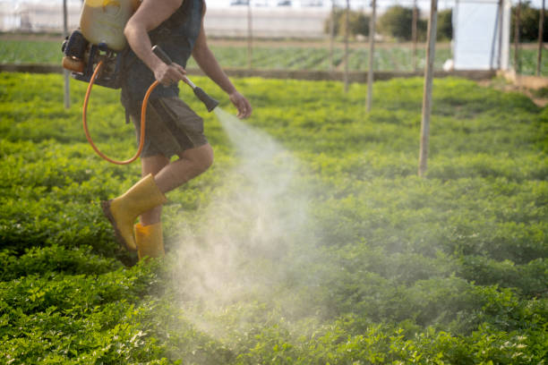 Best Best Pest Control Companies  in Bothell, WA