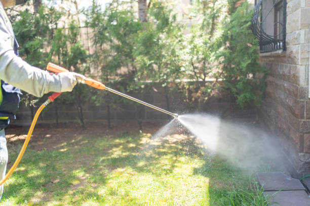 Best Best Pest Control Companies  in Bothell, WA