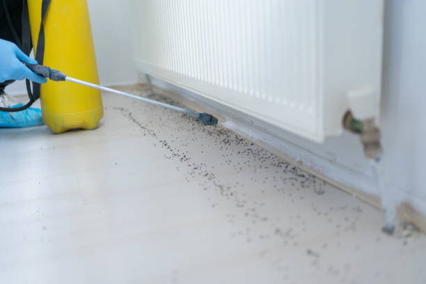Best Emergency Pest Control  in Bothell, WA